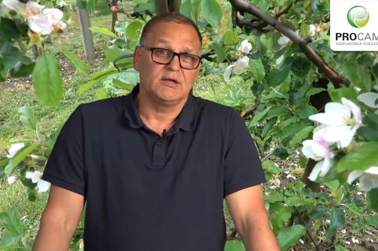 komunikat sadowniczy