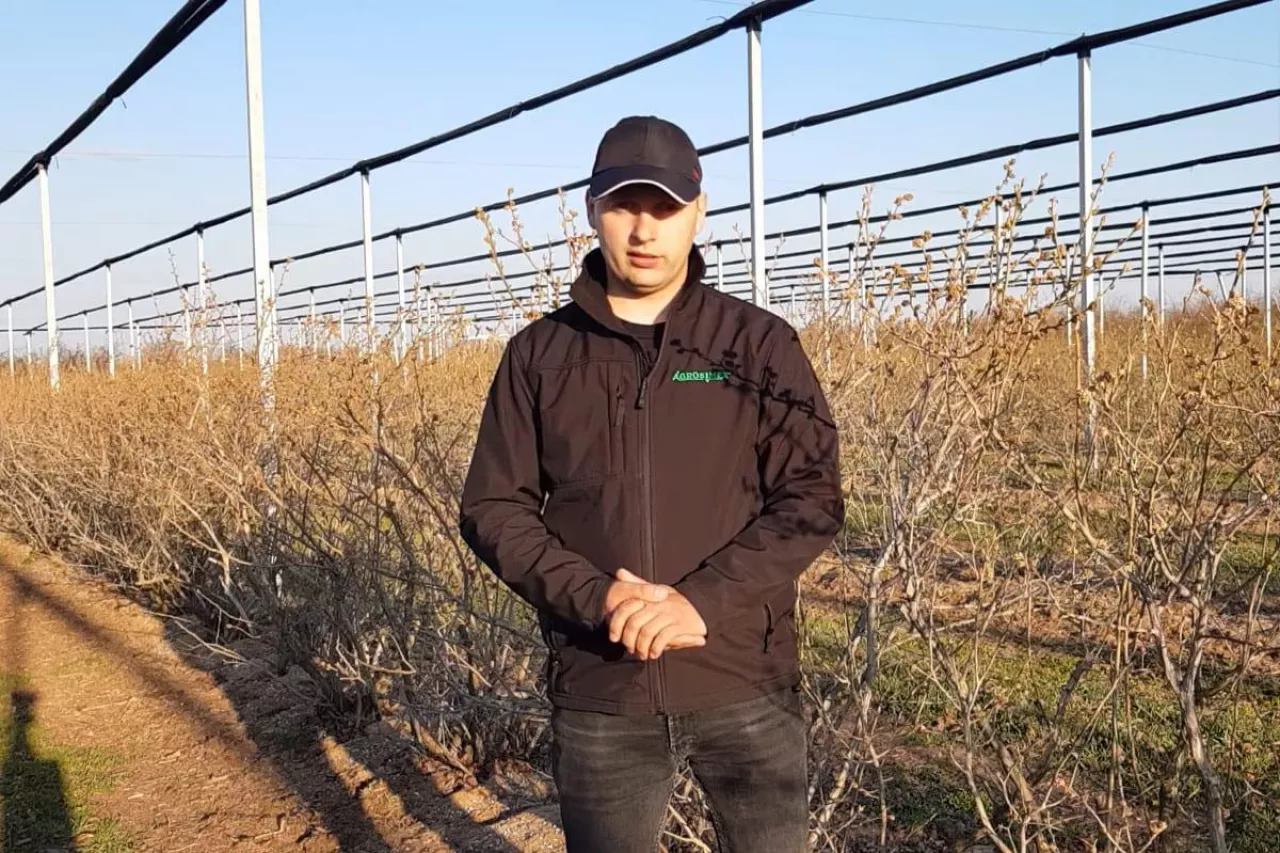 komunikaty sadownicze