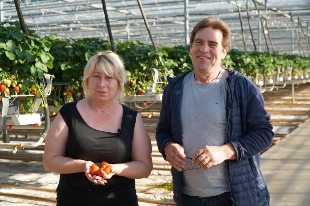 pierwsze polskie truskawki2020