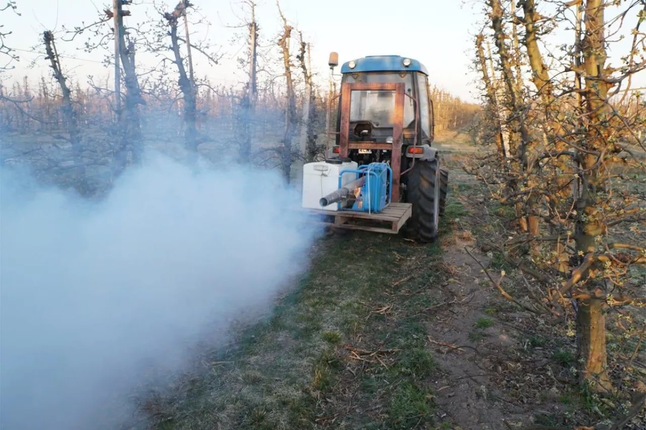 ochrona sadu przed przymrozkami 2020