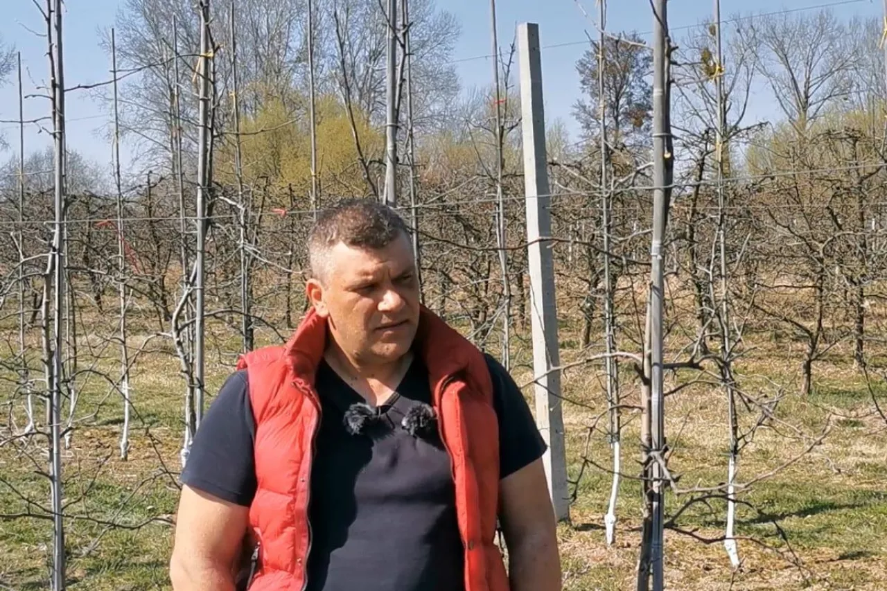 krzysztof proć prosad