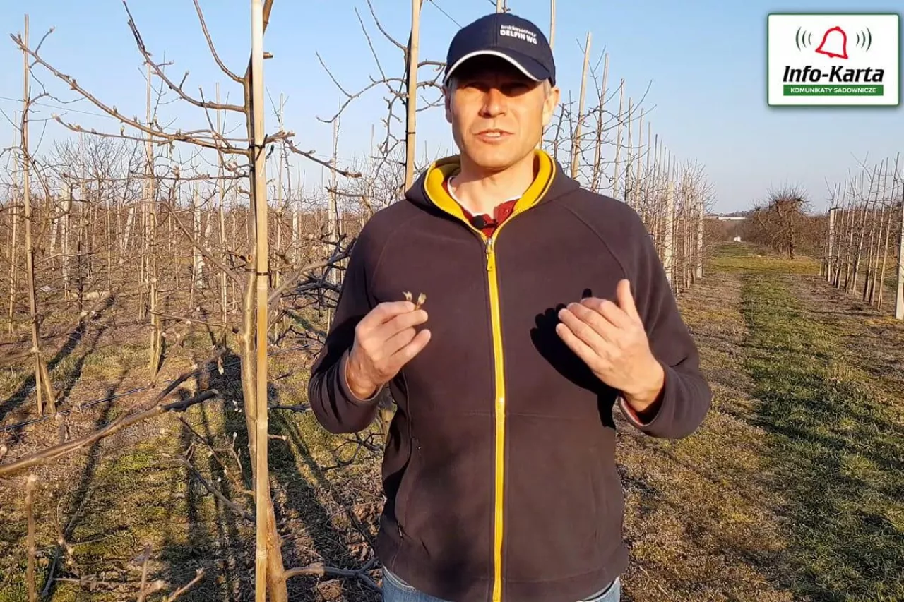 komunikat sadowniczy