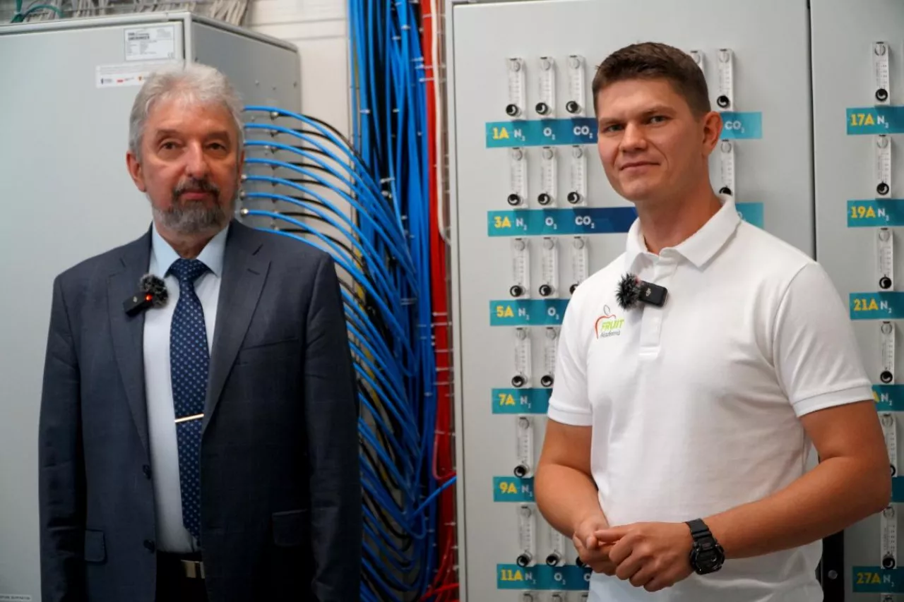 oparzelizna powierzchniowa