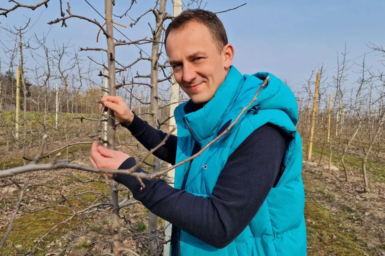 mateusz nowacki doradca