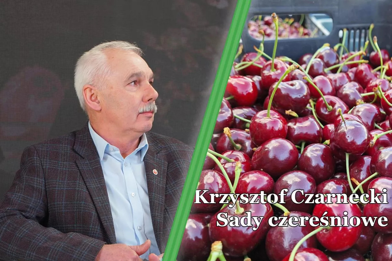 Krzysztof Czarnecki