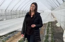 w tunelu z truskawkami