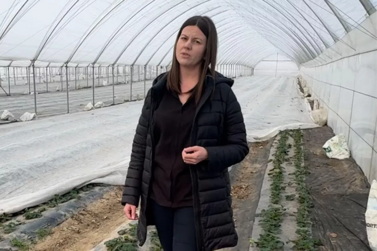 w tunelu z truskawkami