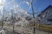 zraszanie przymrozek