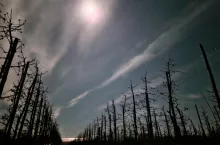 przymrozki 2025 ostatnia noc