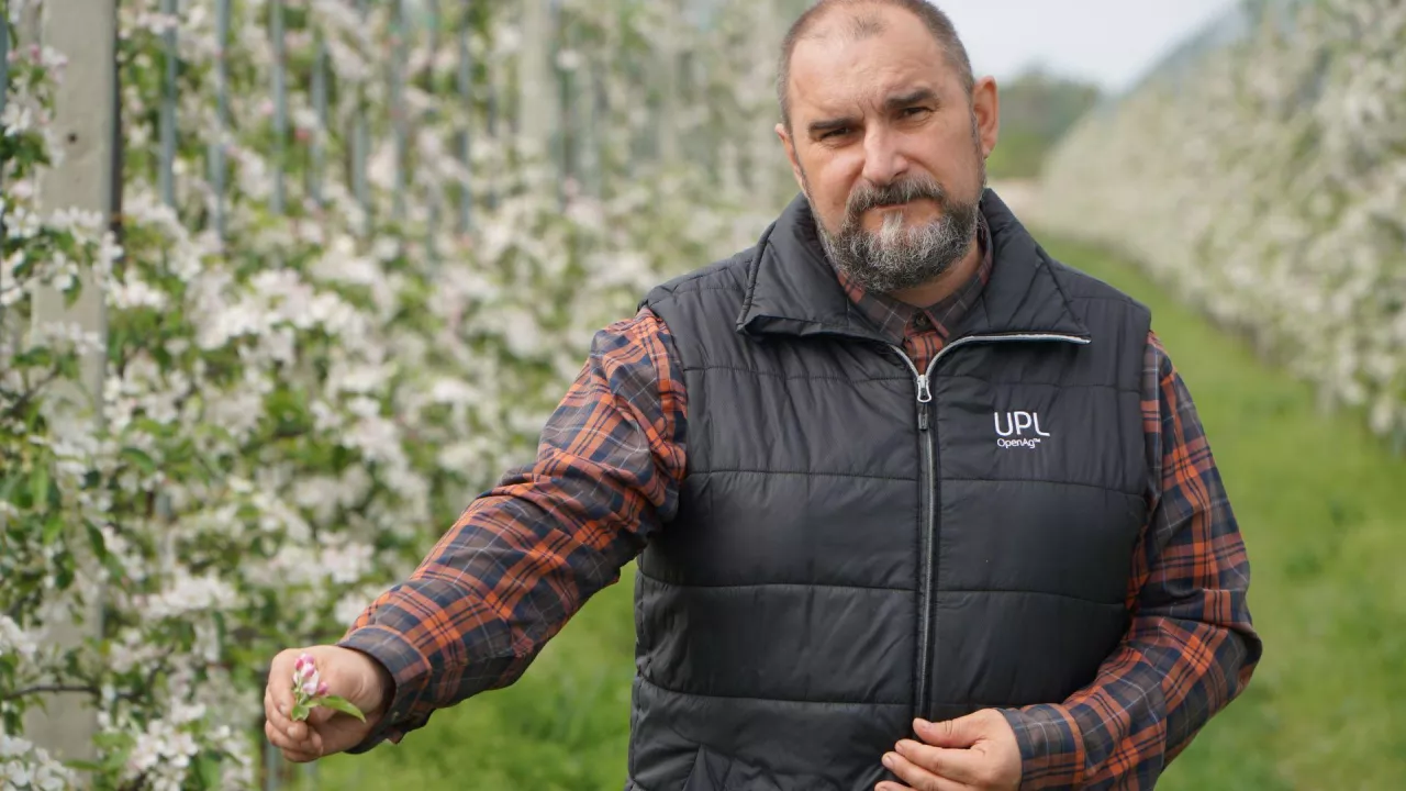 zalecenia dotyczące ochrony sadów przed przymrozkami