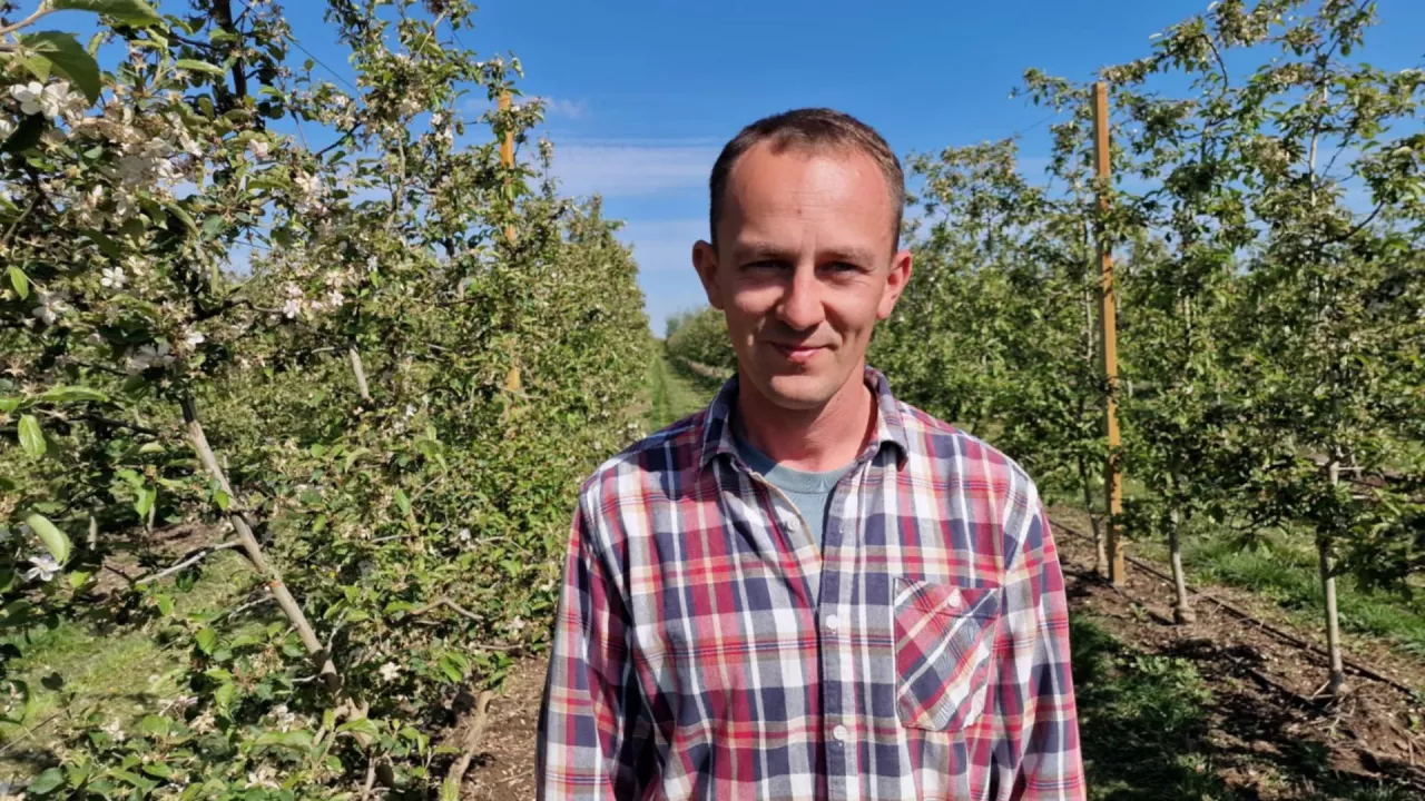 komunikat sadowniczy mateusz nowacki