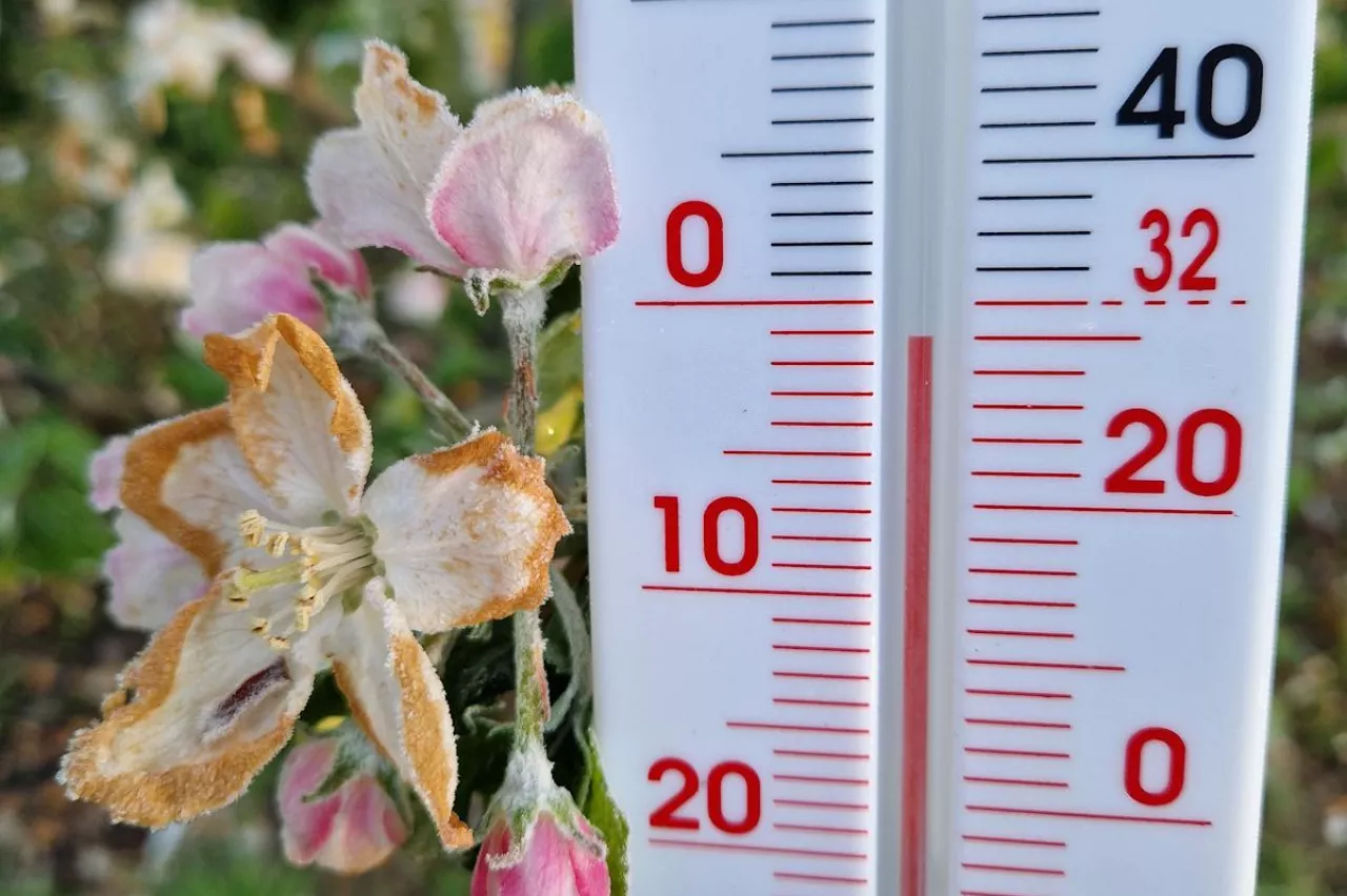 termometr mróz