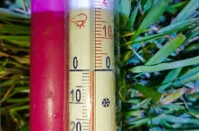 termometr przymrozek