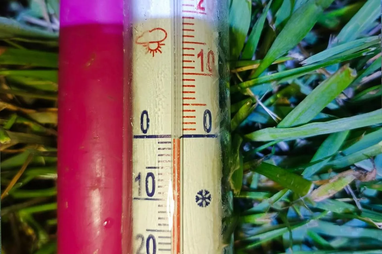 termometr przymrozek