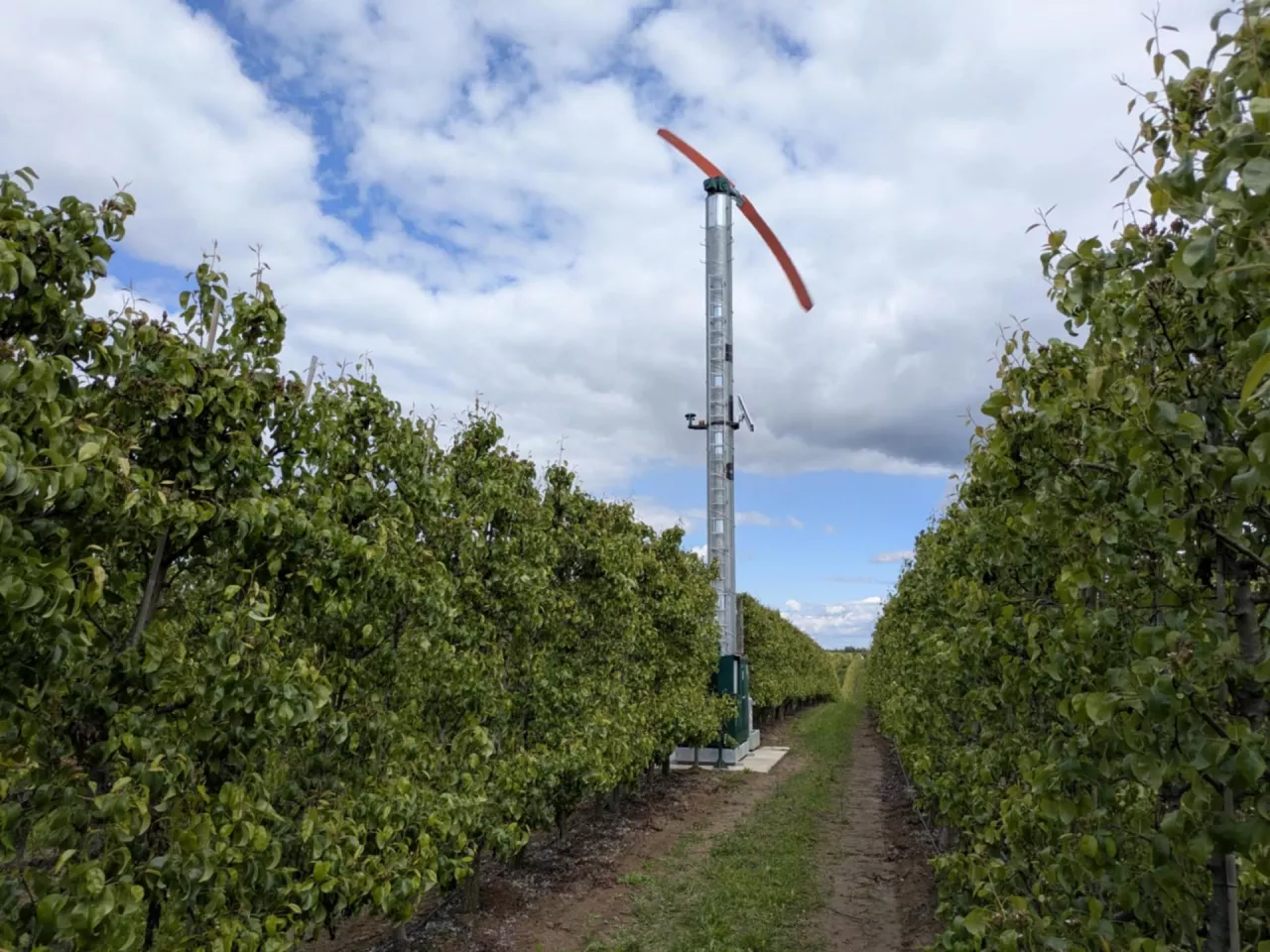 wiatrak przeciwprzymrozkowy