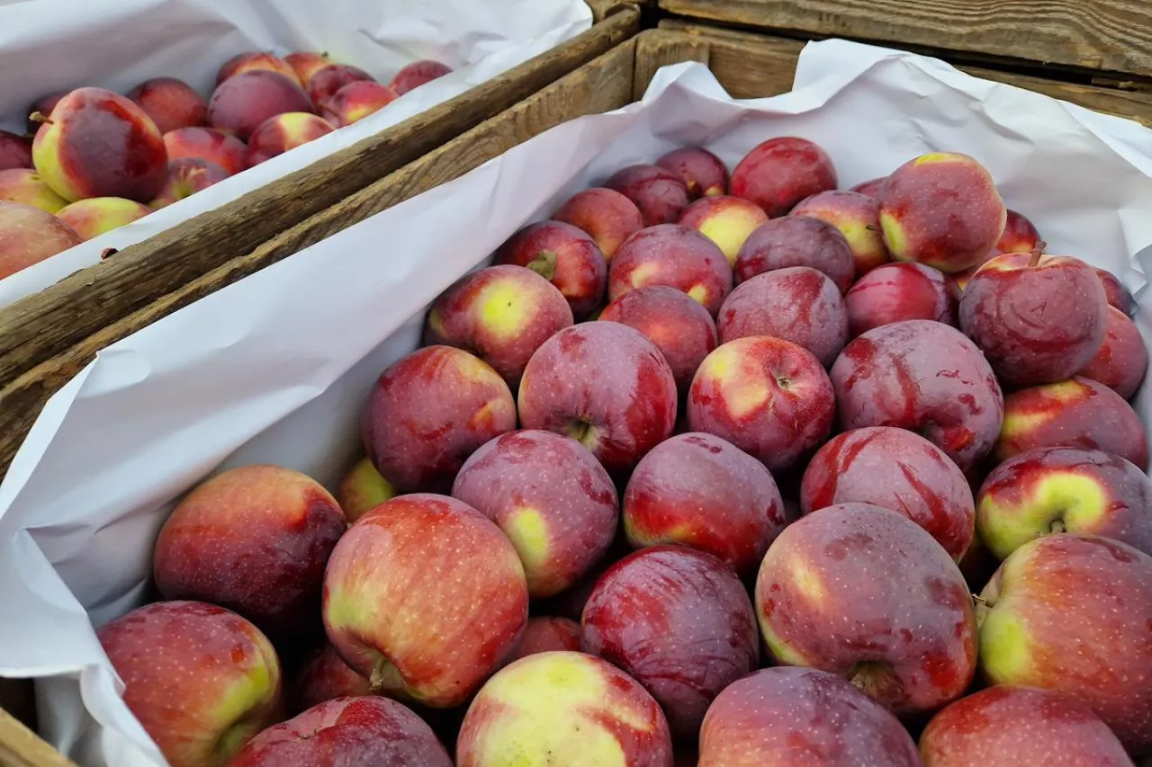 aktualne ceny na rynku hurtowym bronisze