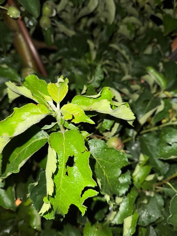 Zdjęcia od Czytelnika. Okolice Sandomierza