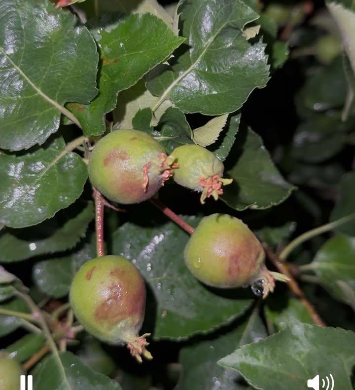 Zdjęcia od Czytelnika. Okolice Sandomierza