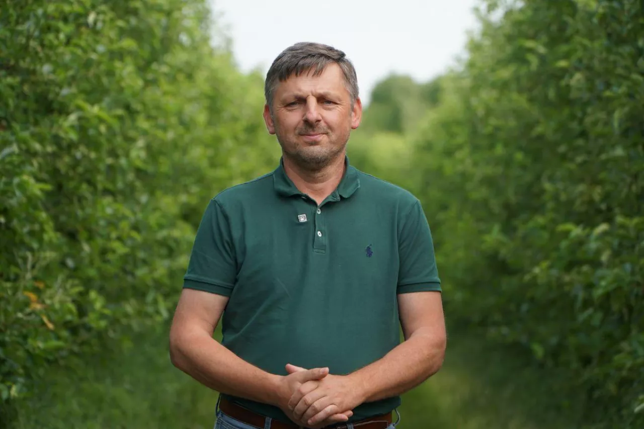 piotr zieliński ocenia sytuacje w swoim sadzie w Lipowej w powiecie sandomierskim