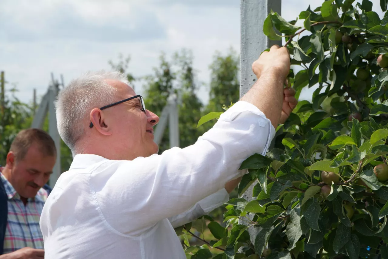 forum doradców sadowniczych