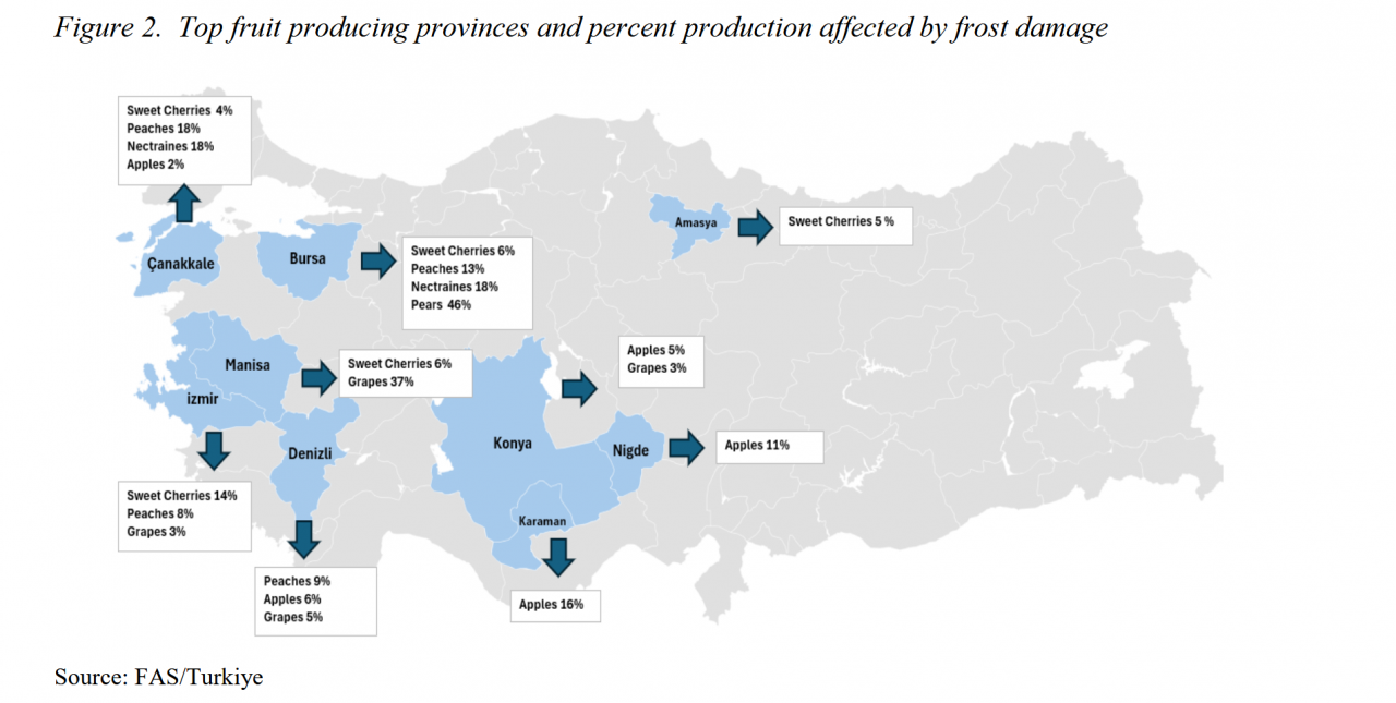 wykres przedstawiający uszkodzenia przymrozkowe w turcji