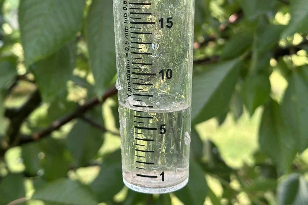 burze nad polskimi sadami