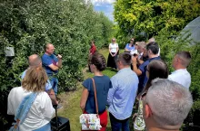 Karolina Śluzek, Fundacja Time4bee