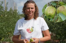 dorota furmaniak opisuje sytuację w sadzie po gradobiciu