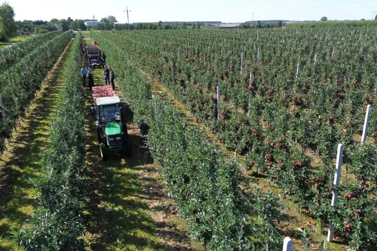 drony nad gospodarstwami sadowniczymi