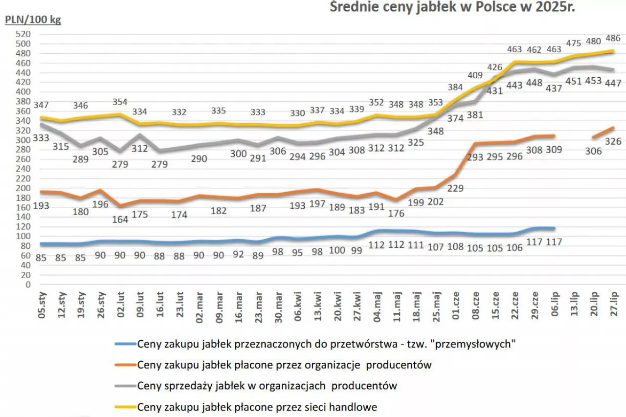 CENY JABŁEK
