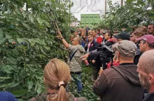 Letnie Pokazy Czereśniowe 2022