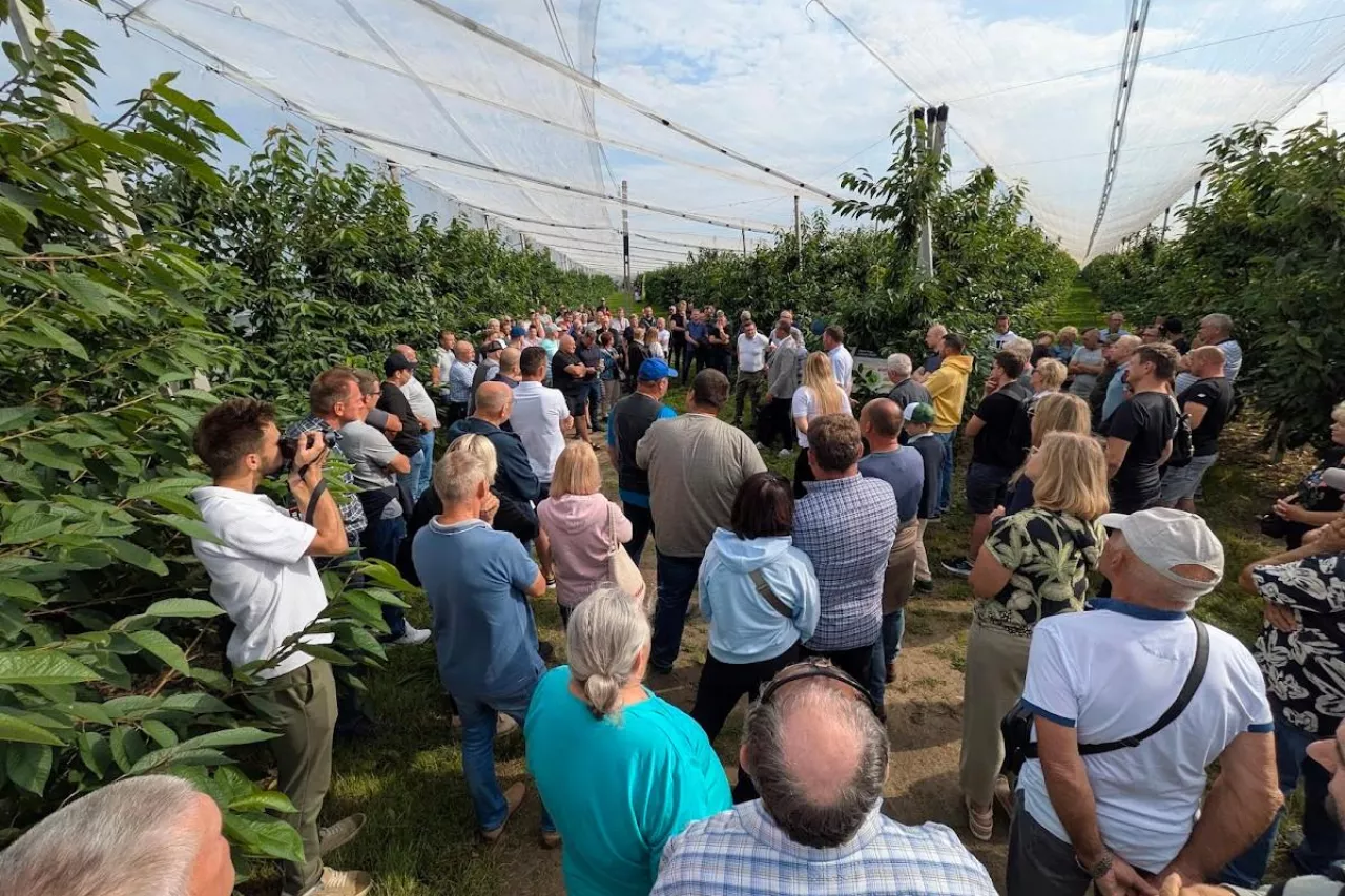 dr Andrzej Grenda (YARA Poland) mówił między innymi o nawożeniu azotem po zbiorach