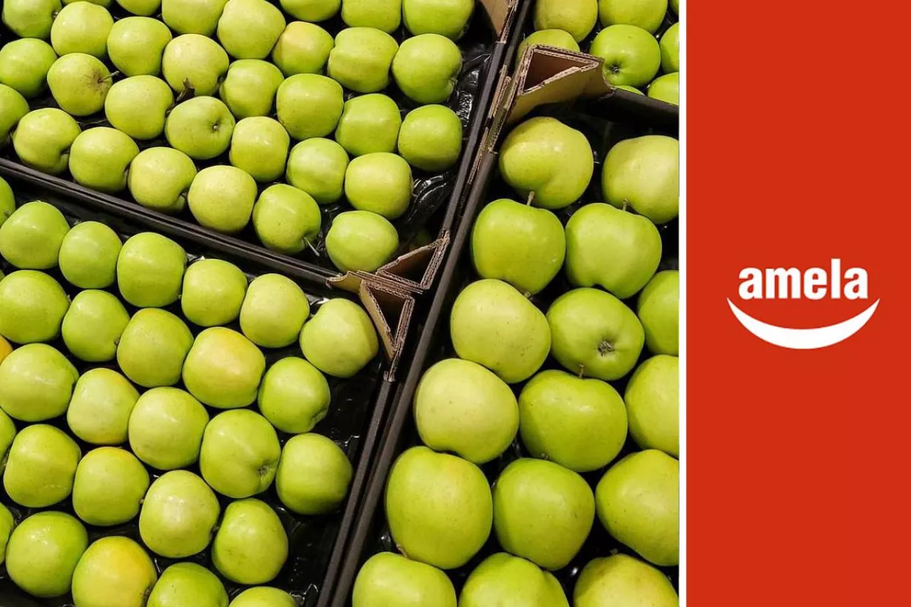 jabłka odmiany Golden Delicious