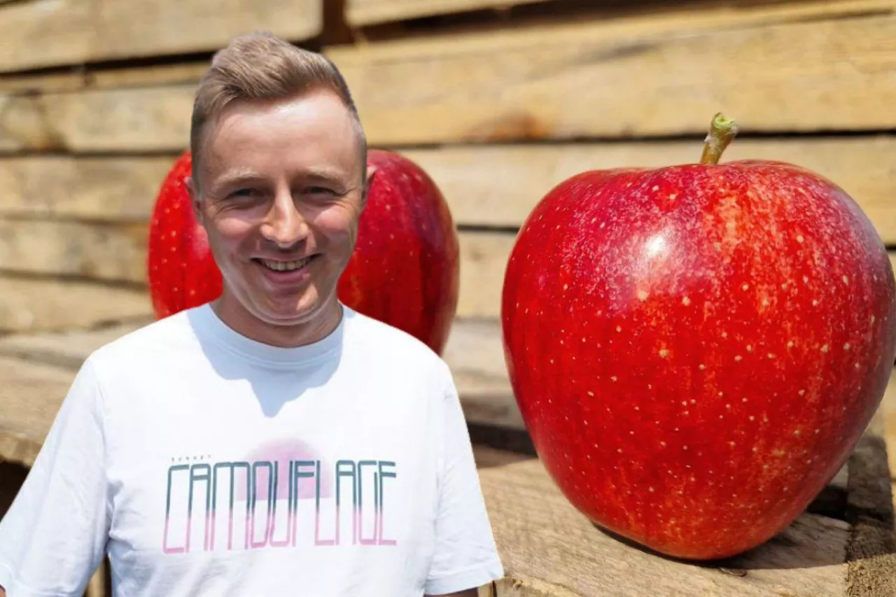 maciej cybulak sadownik