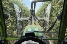 defoliacja lisci w sadzie