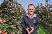 komunikaty sadownicze