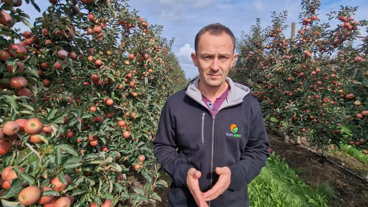 komunikaty sadownicze