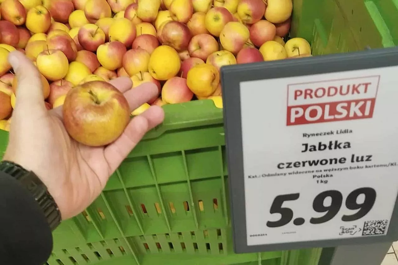 jabłka promocja