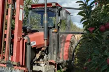 wypadek podczas zbiorów jabłek