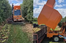 kombajn do zbioru jabłek przemysłowych