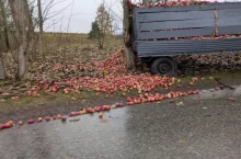 wypadek na drodze - jabłka wysypały się na jezdnię
