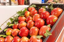 Targi FRUIT POLAND