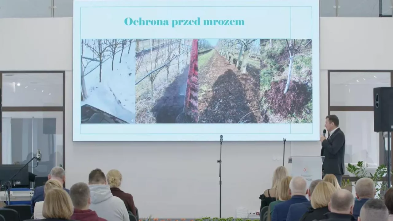 Ochrona przed mrozem - slajd z transmisji - sadownictwo