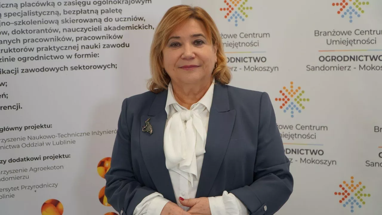 branżowe centrum umiejętnosci