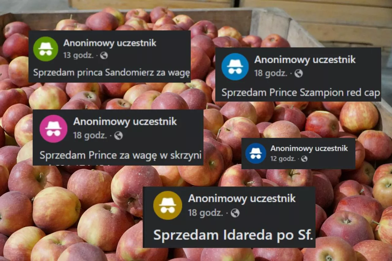 anonimowe ogłoszenia