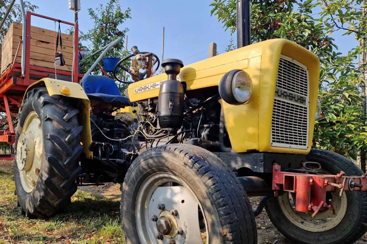 633300