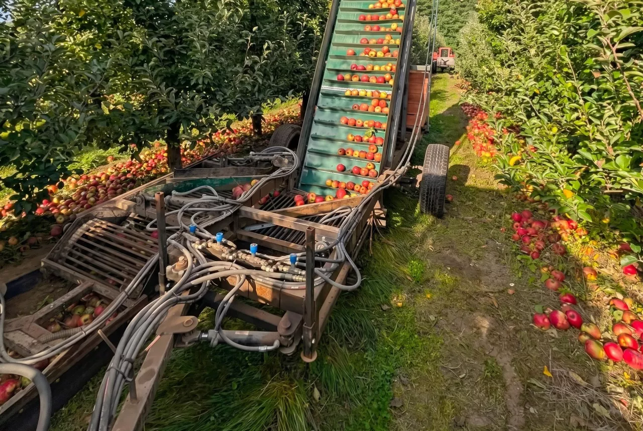 954736